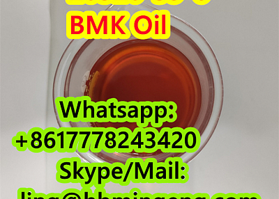 CAS 20320-59-6 CAS 5449-12-7 CAS 5413-05-8 BMK Oil BMK Powder Hot Selling