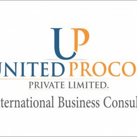 Overseas Business Consultancy