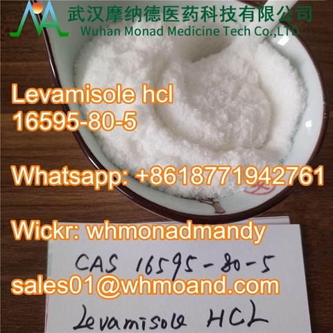 Levamisole Hydrochloride CAS 16595-80-5 Levamisole for Sale 