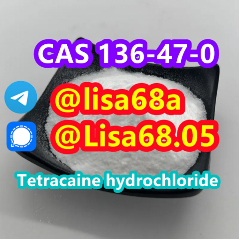 CAS 136-47-0 Tetracaine hydrochloride C15H25ClN2O2