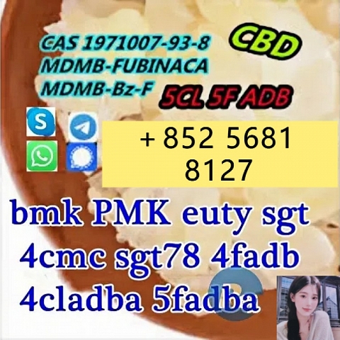 出售 CAS 1971007-93-8 5cladba 5fadb adbb 中国供应商