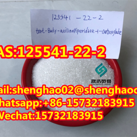 The Best Price of 1-Boc-4- (Phenylamino) Piperidine CAS No 125541-22-2 99% White powder 125541-22-2 