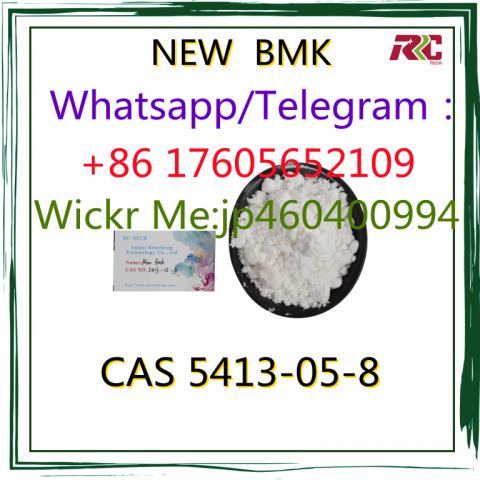 CAS 5413–05–8 NEW BMK oil BMK powder Chemical