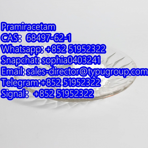 Pramiracetam CAS68497-62-1