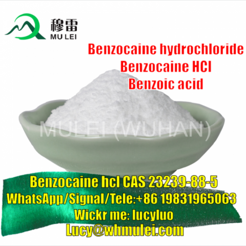 Benzocaine Hydrochloride Powder Benzocaine HCl Supplier CAS 23239-88-5