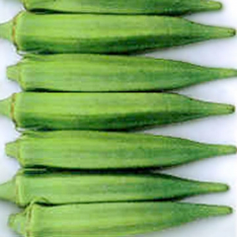 Okra Vegetables available for sale