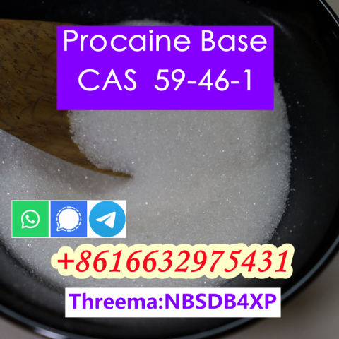 Procaine Free Base CAS 59-46-1