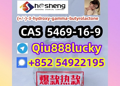 5469-16-9  (+/-)-3-hydroxy-gamma-butyrolactone  