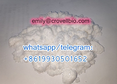 China manufacturer CAS 613-93-4 N-Methylbenzamide with wholesale price (whatsapp:+8619930501652)