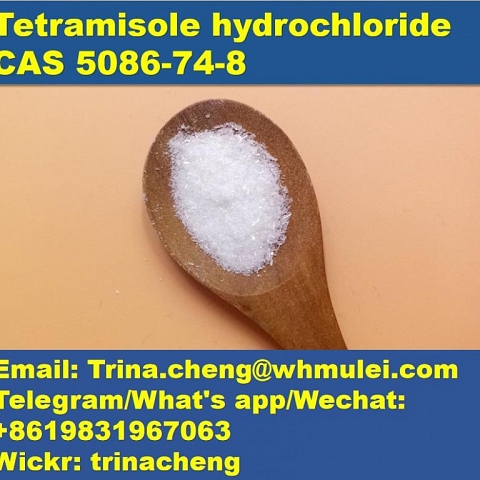 Fast shipping Tetramisole hydrochloride Tetramisole hcl powder CAS 5086-74-8