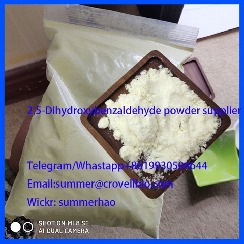 2,5-Dihydroxybenzaldehyde powder supplier factory in China with safe shipping  Telegram/Whastapp+861