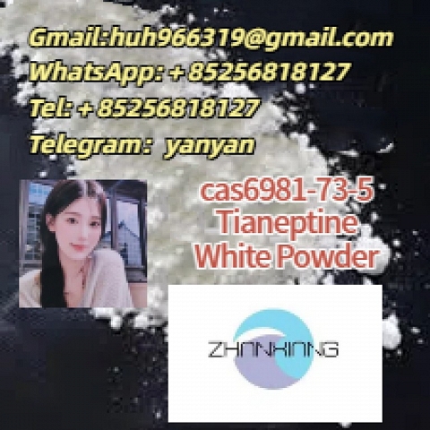 Sell cas66981-73-5 Tianeptine white powder China supplier