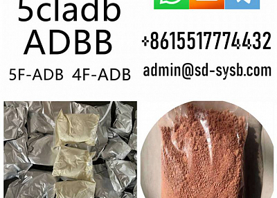 cas 137350-66-4  5cladb/5cl-adb-a/5cladba Manufacturer High quality supplier in China