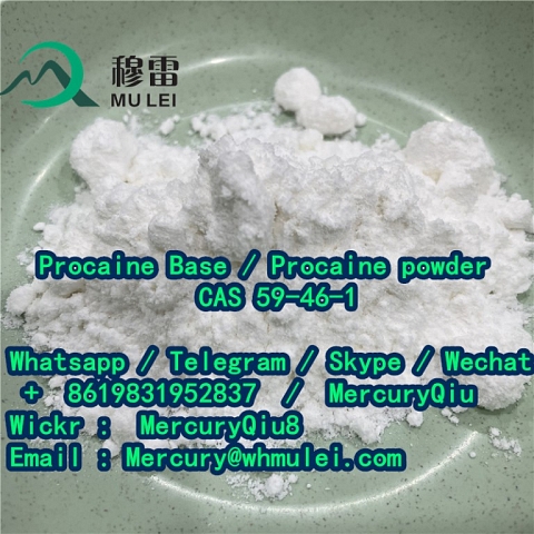 Double clearance custom fast delivery Local Anesthetic Drug Procaine Powder Price 59-46-1