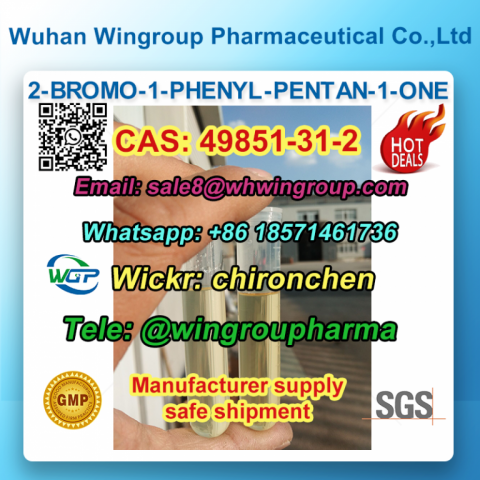 49851-31-2 2-BROMO-1-PHENYL-PENTAN-1-ONE PMK WA+86 18571461736