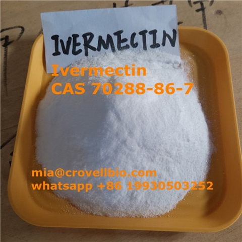 Find Ivermectin powder CAS 70288-86-7 supplier manufacturer in China ( whatsapp +86 19930503252