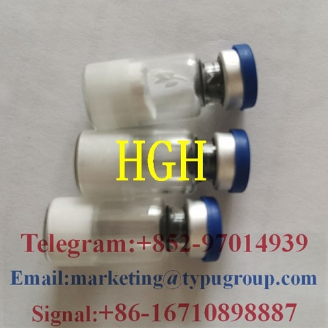 Hot sale Human Growth Hormone HGH CAS:12629-01-5 Telegram/Whatsapp:+852-97014939