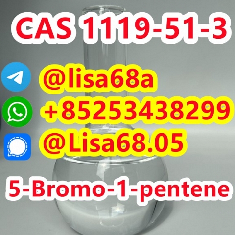 CAS 1119-51-3 5-Bromo-1-pentene C5H9Br