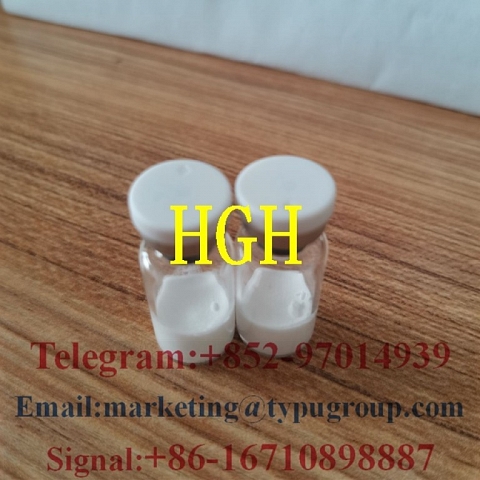 Hot sale Human Growth Hormone HGH CAS:12629-01-5 Telegram/Whatsapp:+852-97014939