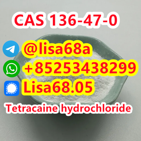 CAS 136-47-0 Tetracaine hydrochloride C15H25ClN2O2