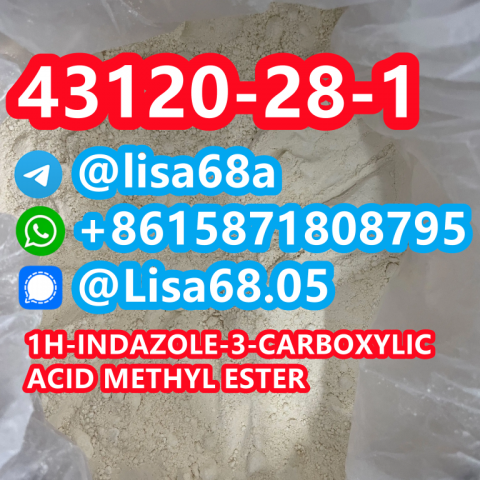 CAS 43120-28-1 1H-indazole-3-carboxylic acid methyl ester C9H8N2O2