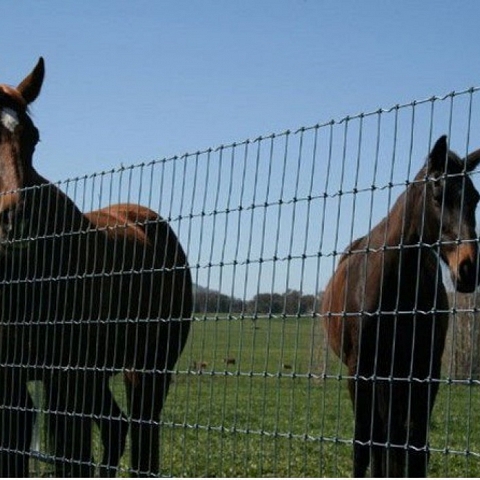  Field Fence