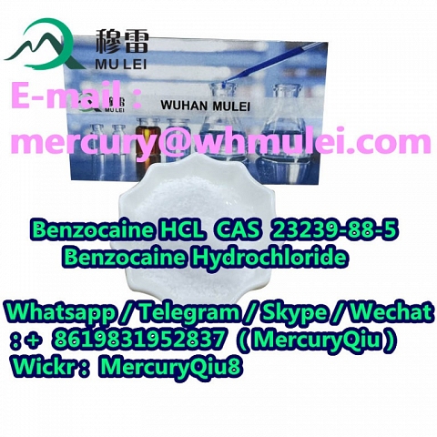 Free sample China procaine /lidocaine / tetramisole /boric acid /phenacetin supplier in china