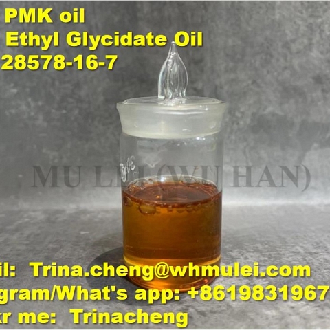 China PMK manufacturer supply high yield New PMK oil CAS 20320-59-6 with safe shipping to UK EU