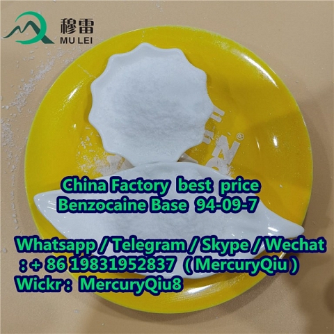 China supplier free sample High Purity 99% Benzocaine CAS No. 94-09-7 Manufacturer Sotocks Supply