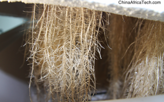 Start your Aeroponic business from China to Africa.