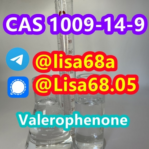 CAS 1009-14-9 Valerophenone C11H14O