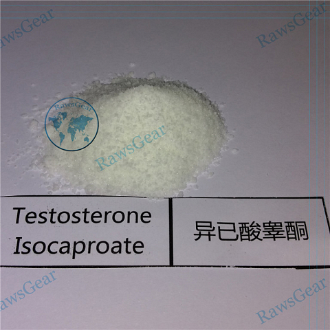 Testosterone Isocaproate