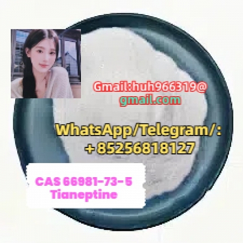 Sell CAS66981-73-5 Tianeptine China supplier