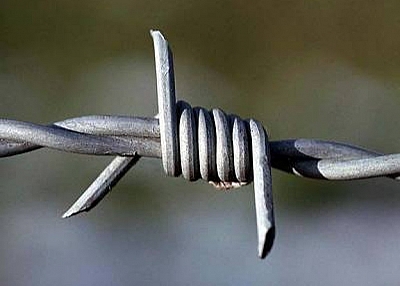 Barbed Wire