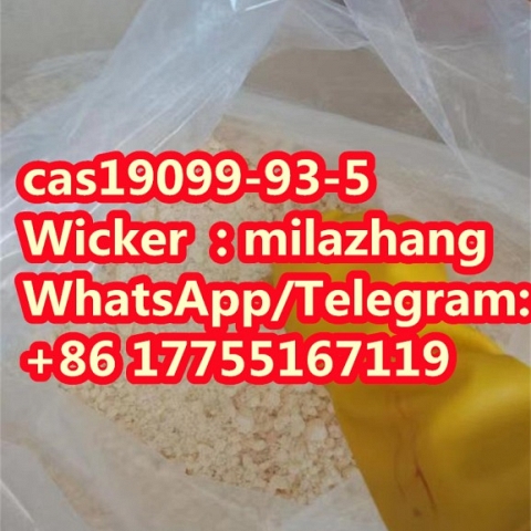 Factory Delivery 1-Cbz-Piperidin-4-One Powder CAS 19099-93-5 in Stock