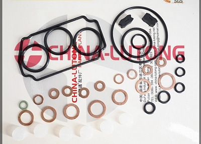 common rail injector repair kits Z 146600-1120 B 9 461 610 423 Fl 800600 for Ve Pump Parts Replace