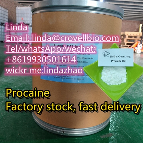 High quality procaine /  CAS No.: 59-46-1 /  buy procaine China supplies / +86 19930501614