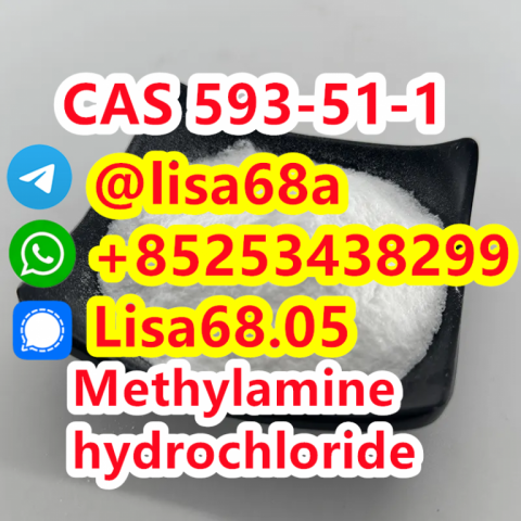 CAS 593-51-1 Methylamine hydrochloride CH5N.ClH