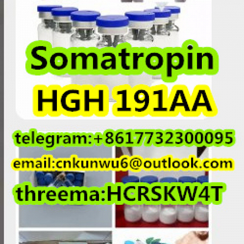 hot selling HGH 191AA(Somatropin） in stock