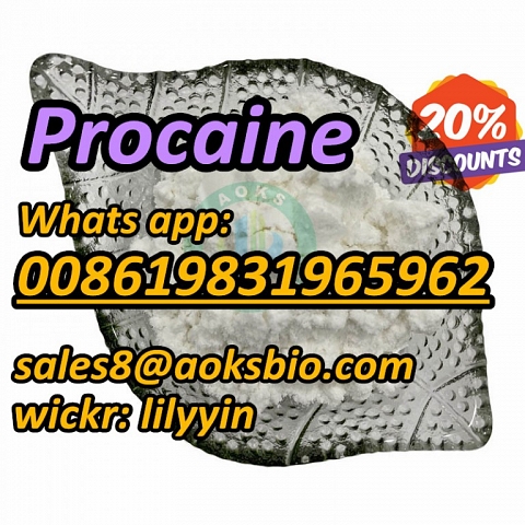 UK Canada buy cas 59-46-1 procaine powder,