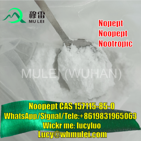 Raw Material Noopept Powder CAS 157115-85-0 Nootropics Supplement