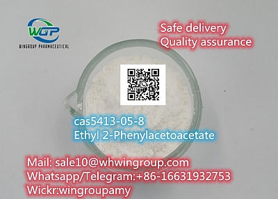 cas5413-05-8  Ethyl 2-Phenylacetoacetate new pmk powder for sale 