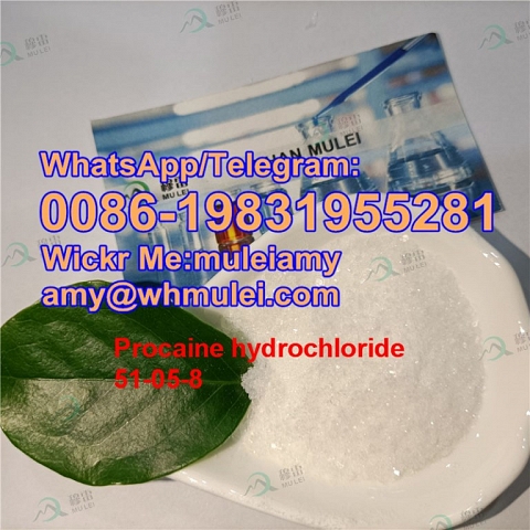 Procaine,procaine hcl Procaine Hydrochloride