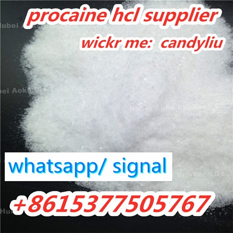 Procaine HCl Supplier CAS 51-05-8 for Local Anesthetic procaine powder