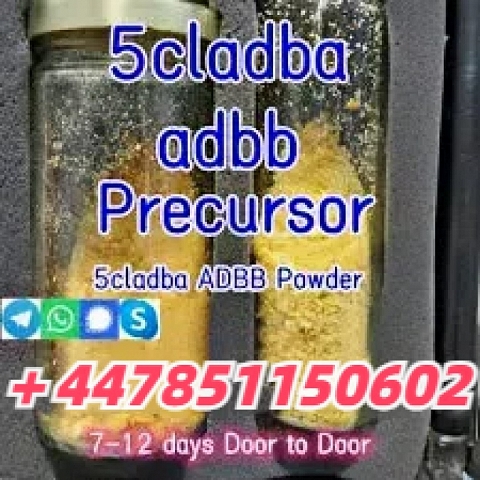 Sell 5CLADBA Online Ordering Best Price Yellow Powder 5cl