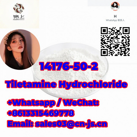 sell like hot cakes  good purity  Tiletamine Hydrochloride 14176-50-2