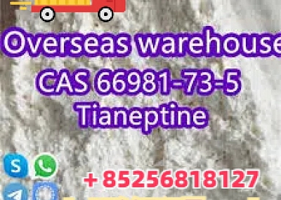 Venta de Tianeptina CAS66981-73-5 a proveedores de China