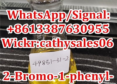 Factory Supply CAS 49851-31-2 / 2-BROMO-1-PHENYL-PENTAN-1-ONE with bulk stock