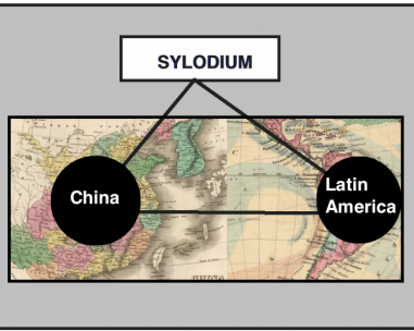 中国 - 拉美业务 (Sylodium信息，世界贸易)