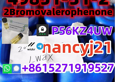 49851-31-2 2Bromovalerophenone 2-BROMO-1-PHENYL-PENTAN-1-ONE 1451-82-7 123-75-1 factory direct suppl